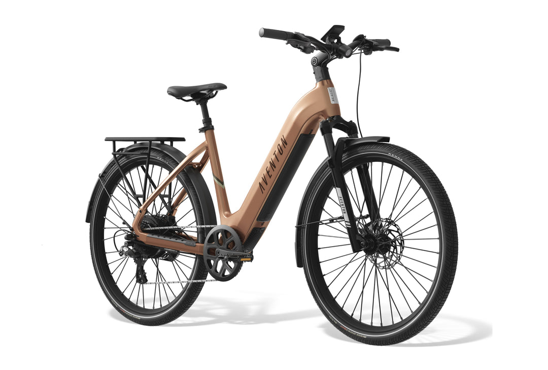 Step-Through City Commuter Electric Bike – Series 077