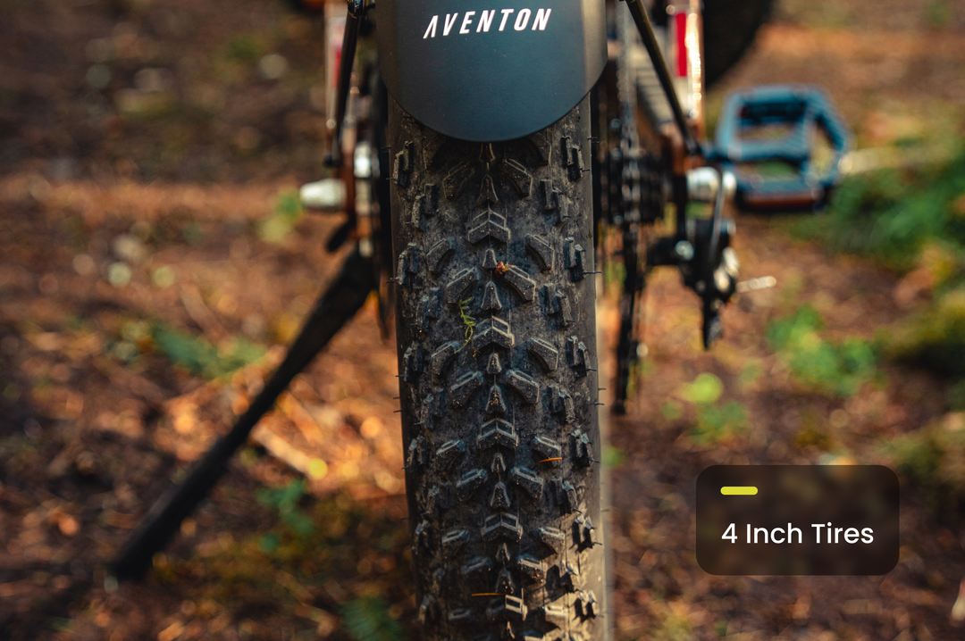Fat Tire Electric Bike – Series 054