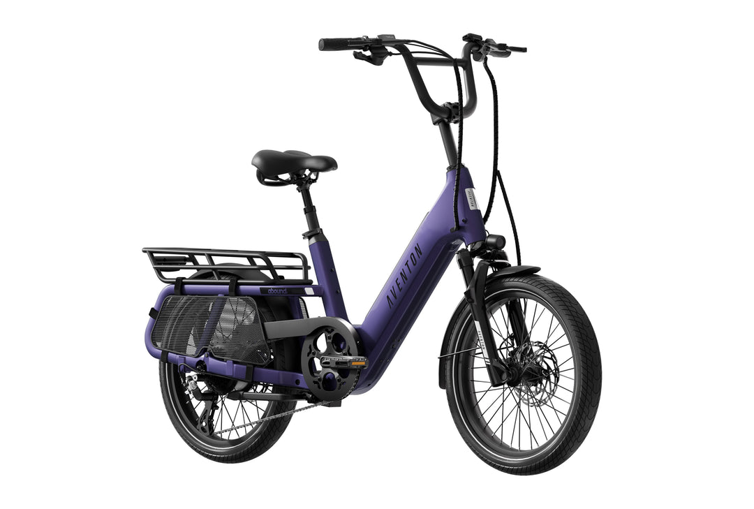 Cargo Electric Bike – Series 123