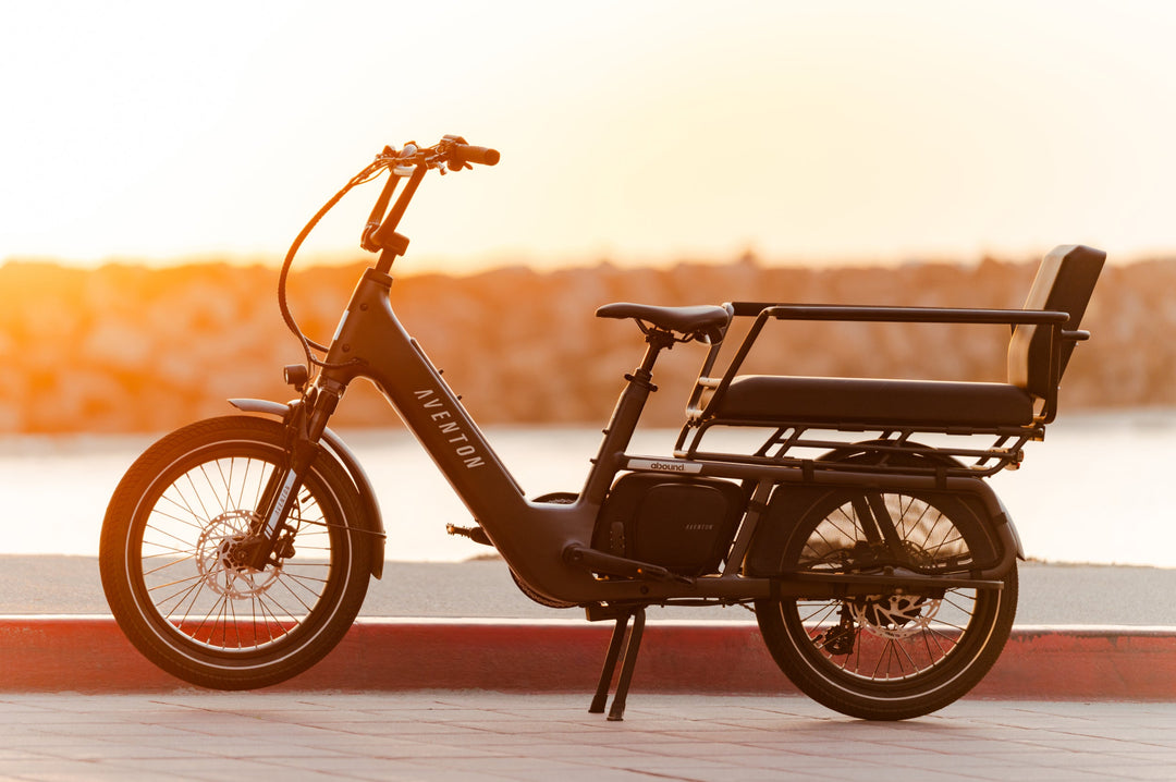 Cargo Electric Bike – Series 072