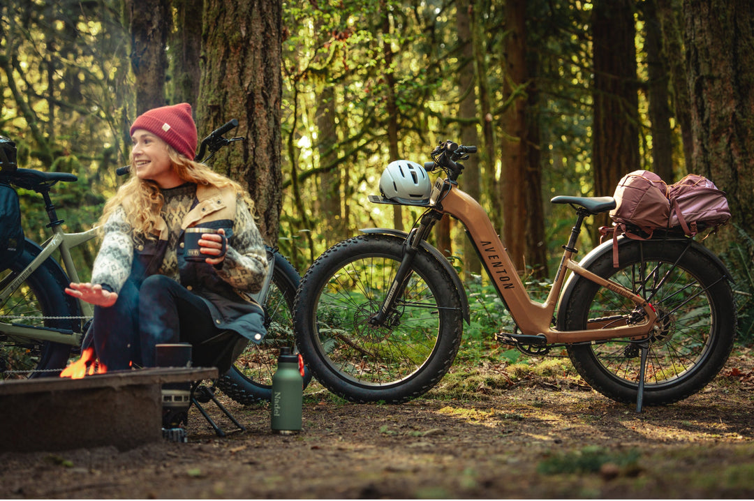 Step-Through Fat Tire Electric Bike – Series 053