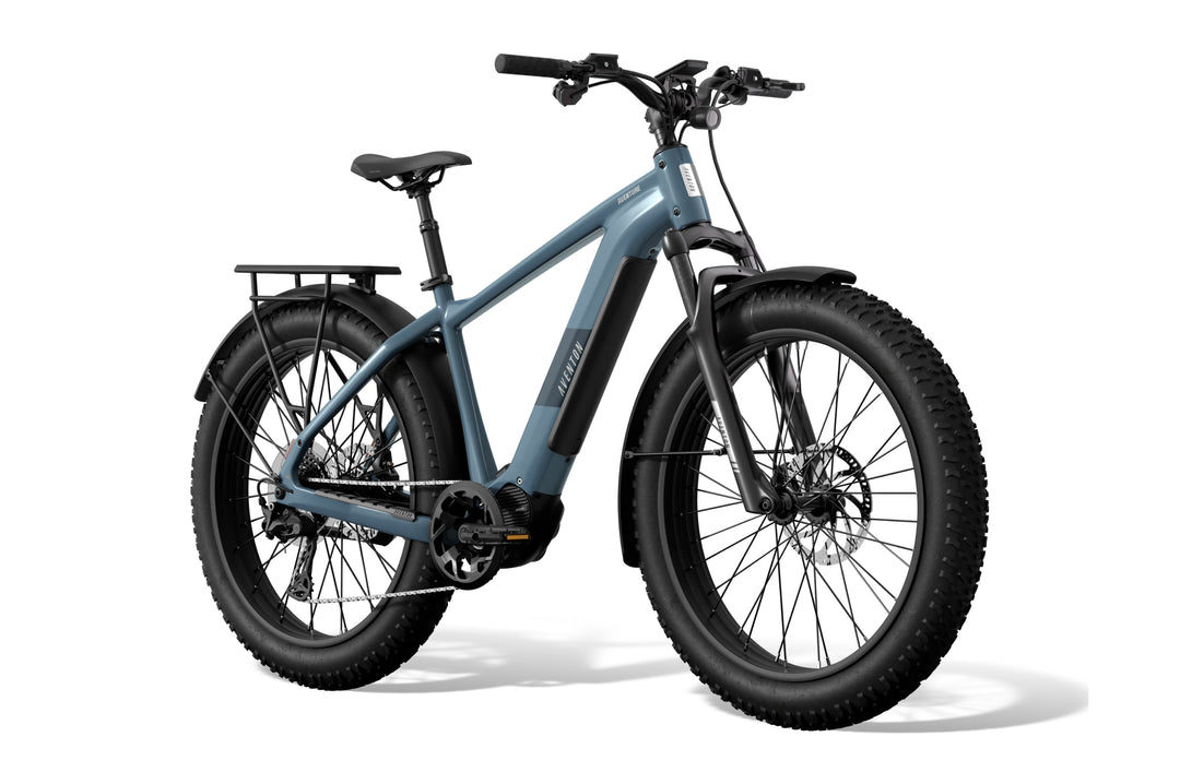 Fat Tire Electric Bike – Series 048