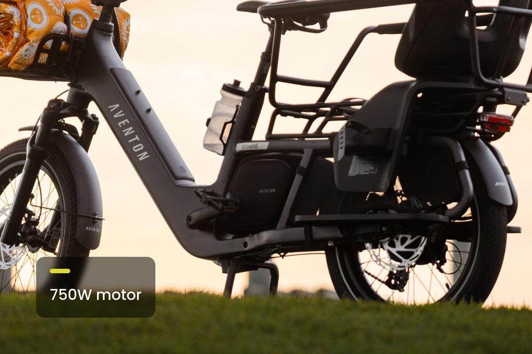 Cargo Electric Bike – Series 072
