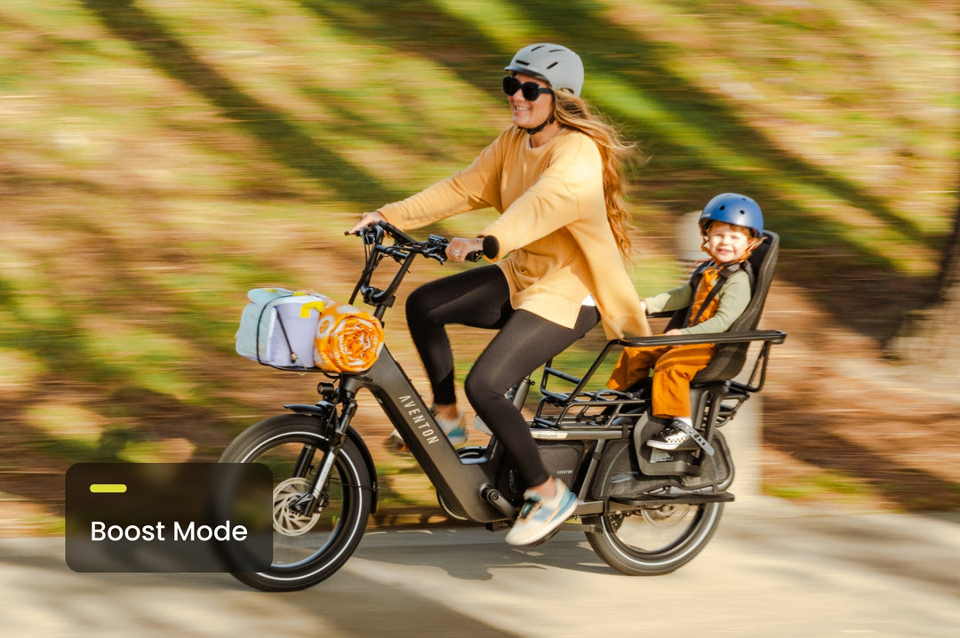 Cargo Electric Bike – Series 072