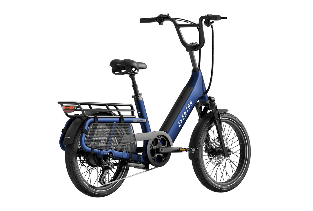 Cargo Electric Bike – Series 123