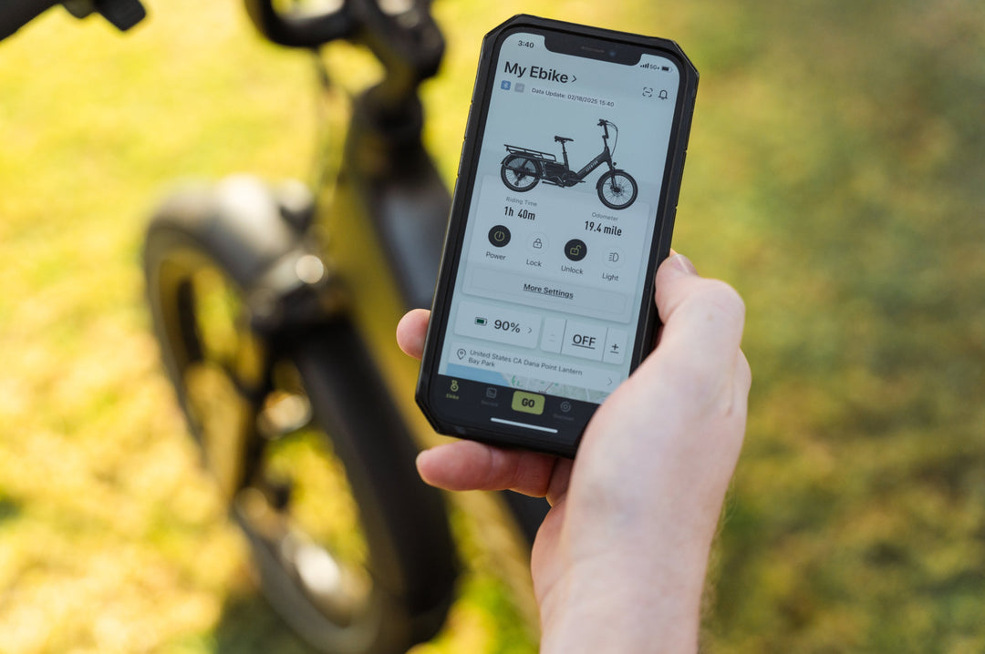 Cargo Electric Bike – Series 072