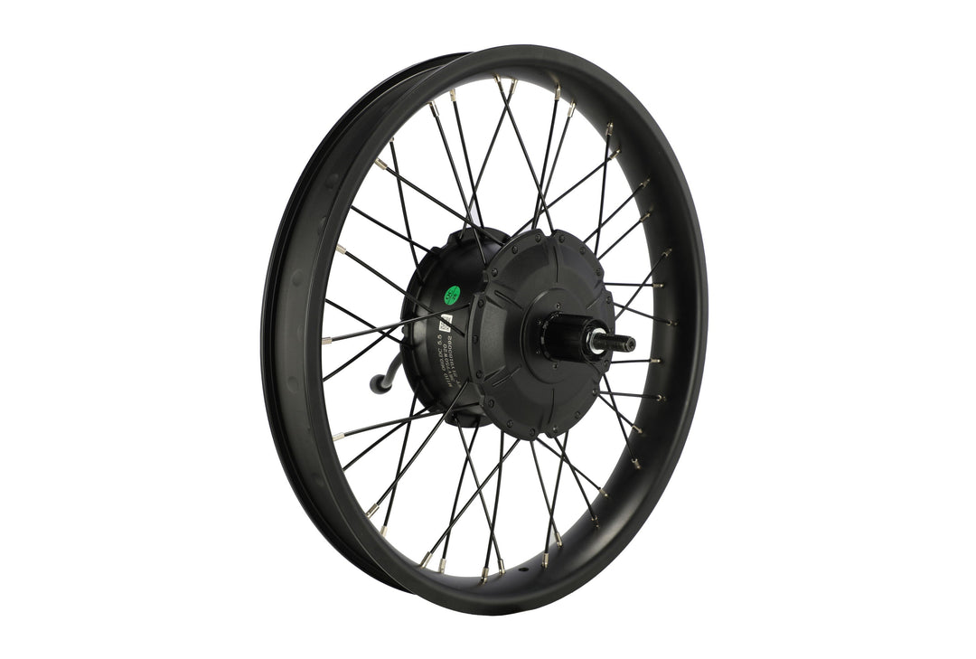 Electric Bike Rear Wheel – Series 209