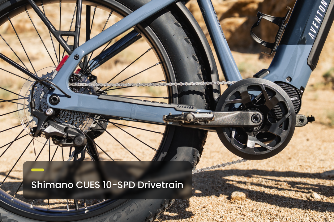 Fat Tire Electric Bike – Series 048