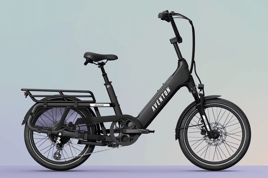 Cargo Electric Bike – Series 123