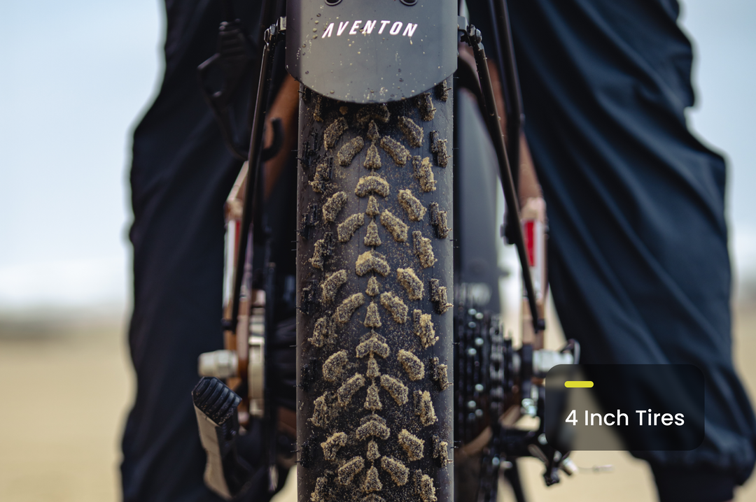 Step-Through Fat Tire Electric Bike – Series 053