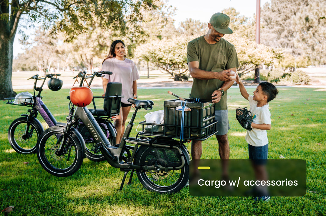 Cargo Electric Bike – Series 123