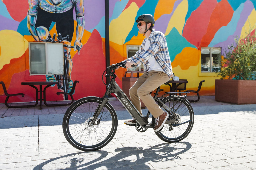 Step-Through City Commuter Electric Bike – Series 066