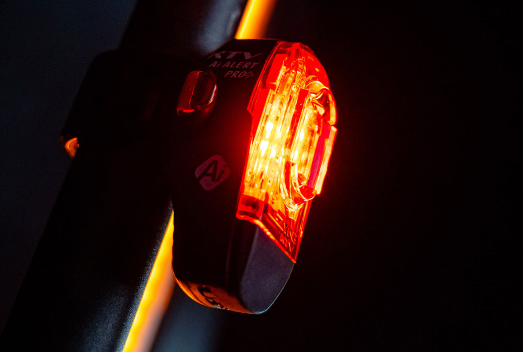 Electric Bike Tail Light – Series 245