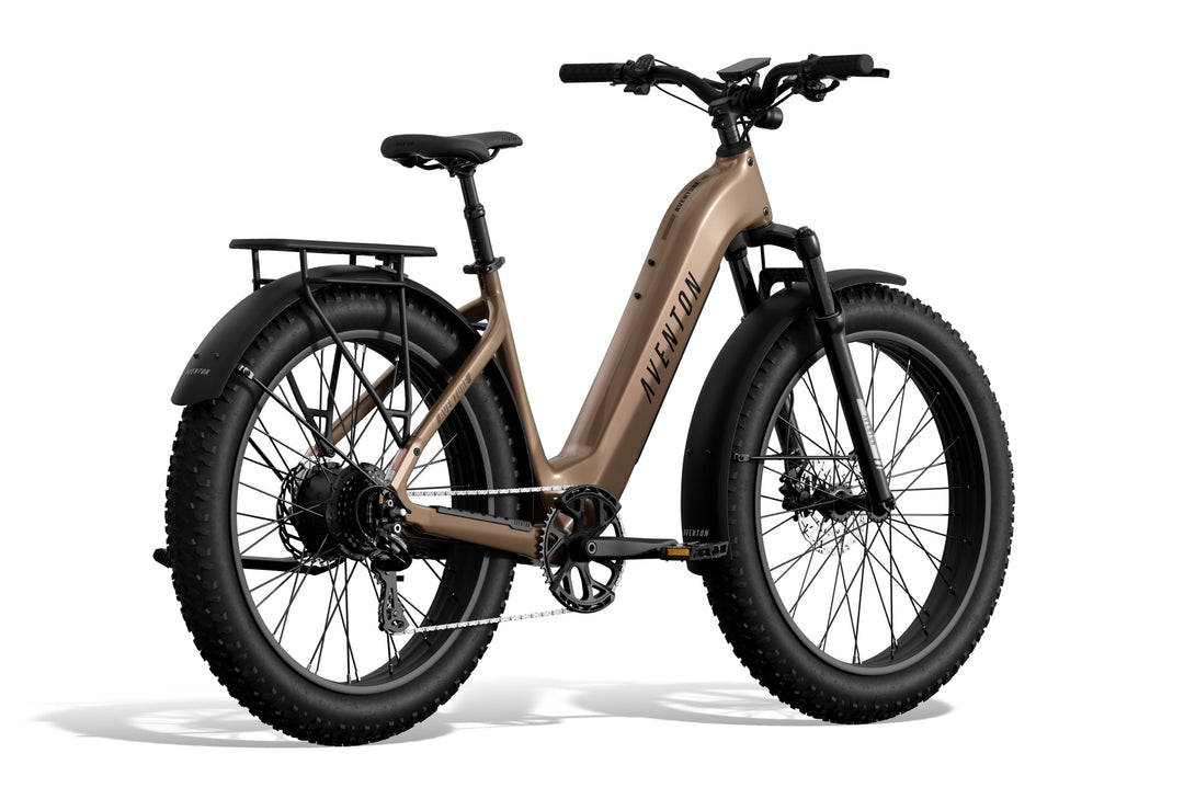 Step-Through Fat Tire Electric Bike – Series 053