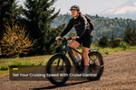 Load image into Gallery viewer, Fat Tire Electric Bike – Series 054