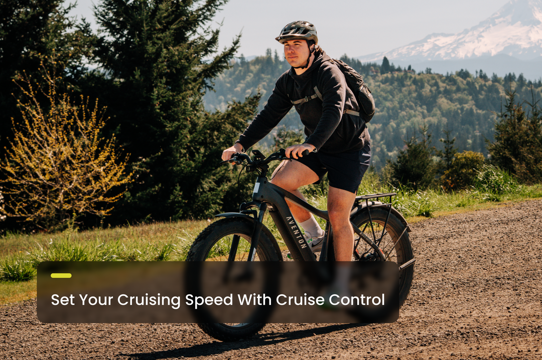Fat Tire Electric Bike – Series 054
