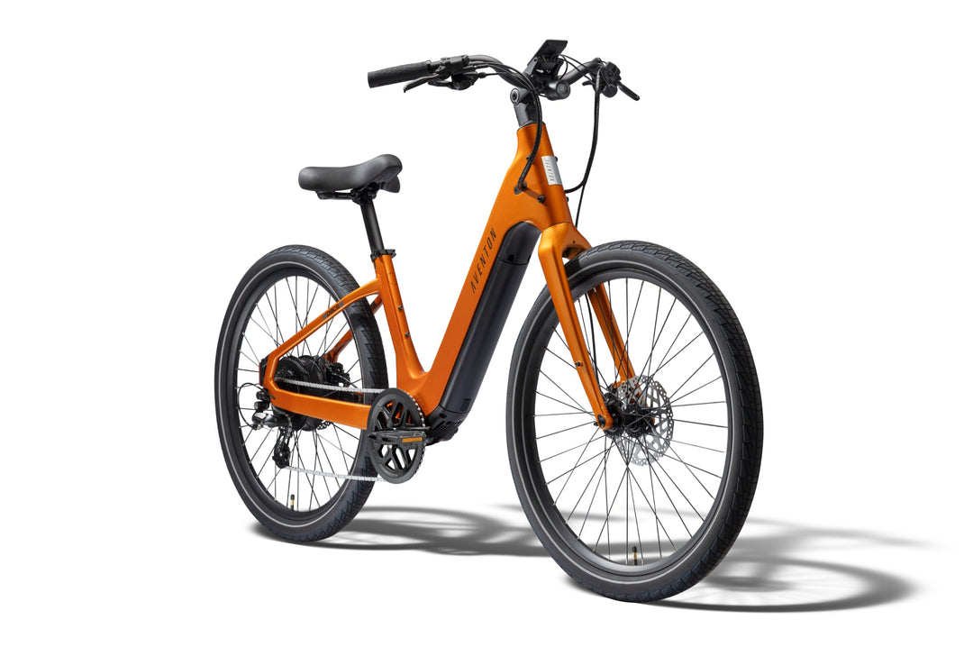 Step-Through City Commuter Electric Bike – Series 009