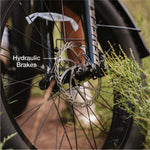 Load image into Gallery viewer, XPeak2 Step-Thru eBike