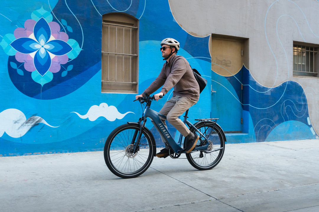 City Commuter Electric Bike – Series 021