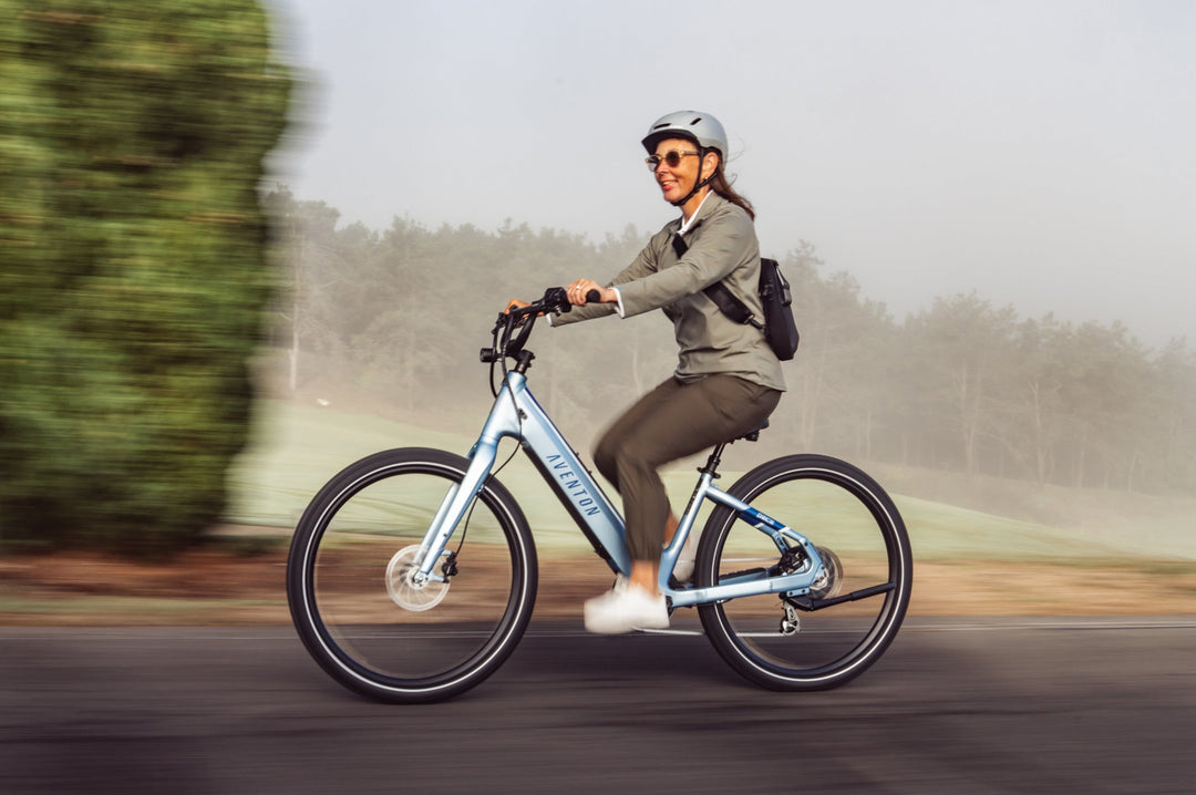 Step-Through City Commuter Electric Bike – Series 066