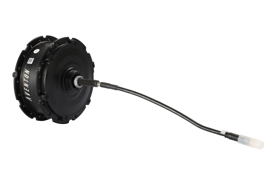 Electric Bike Rear Hub Motor & Nut Set – Series 171