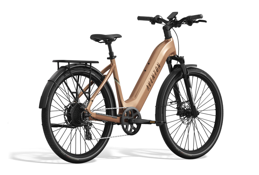 Step-Through City Commuter Electric Bike – Series 077
