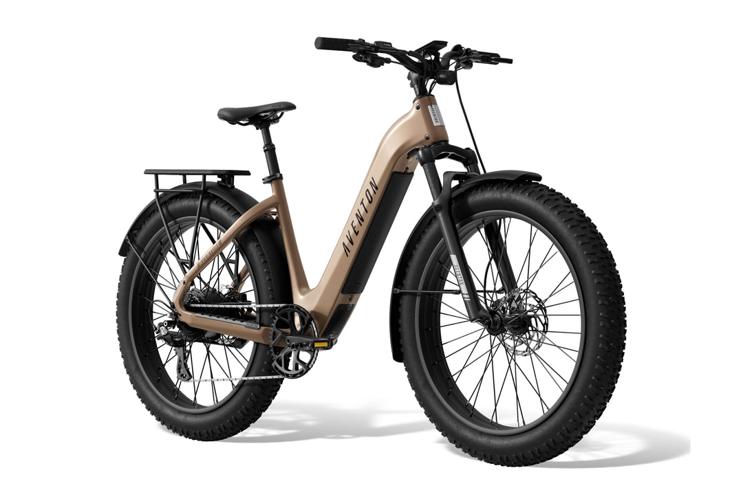 Step-Through Fat Tire Electric Bike – Series 053