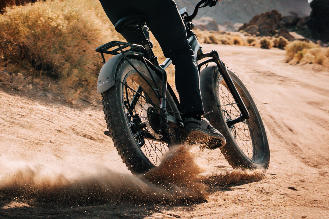 Fat Tire Electric Bike – Series 048