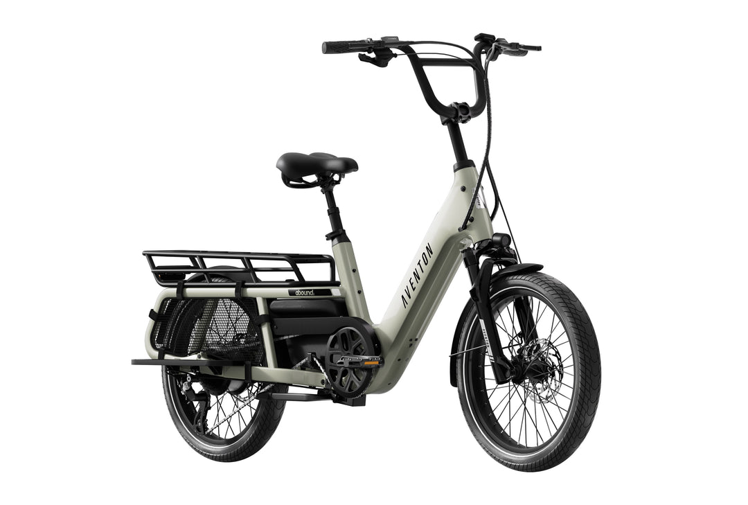Cargo Electric Bike – Series 072