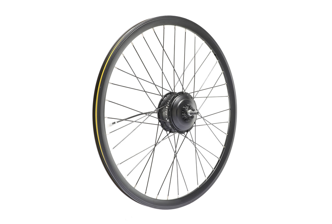Electric Bike Rear Wheel – Series 209