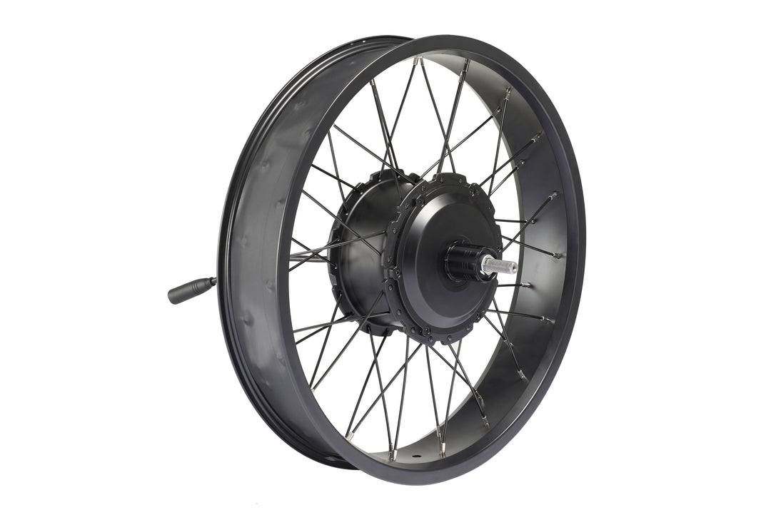 Electric Bike Rear Wheel – Series 209