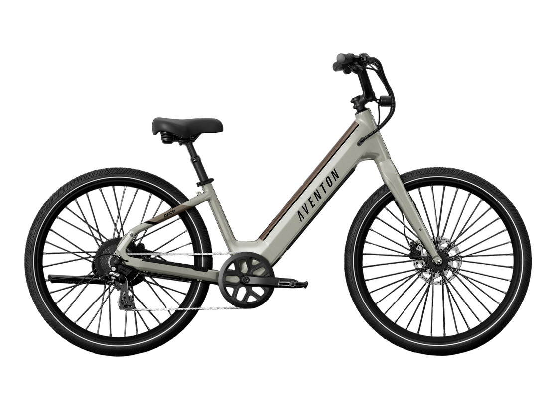 Step-Through City Commuter Electric Bike – Series 066