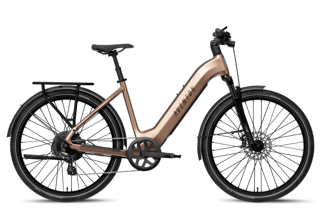 Step-Through City Commuter Electric Bike – Series 020