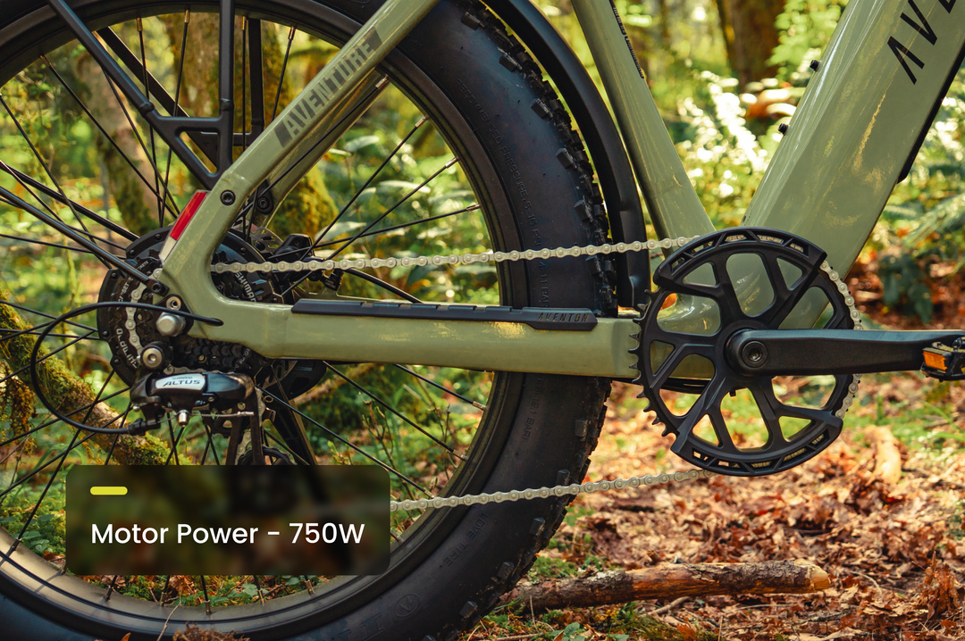 Fat Tire Electric Bike – Series 054