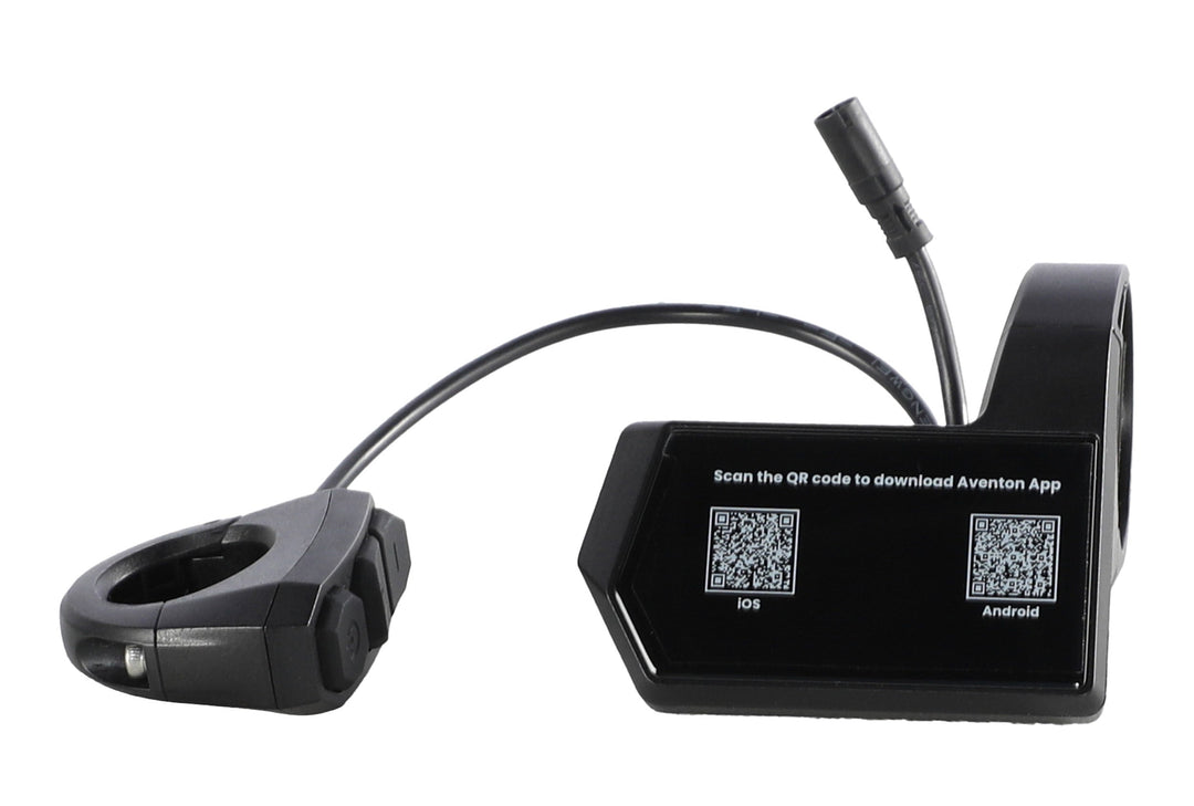 Electric Bike Display – Series 213