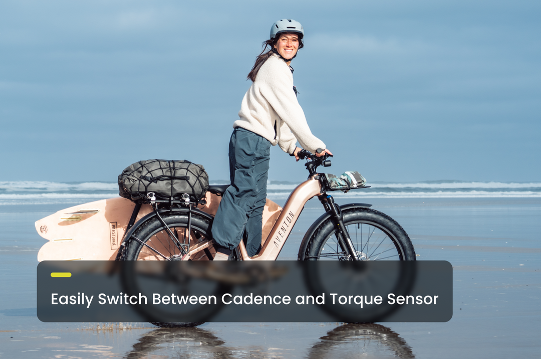 Step-Through Fat Tire Electric Bike – Series 053