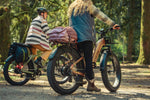 Load image into Gallery viewer, Step-Through Fat Tire Electric Bike – Series 053