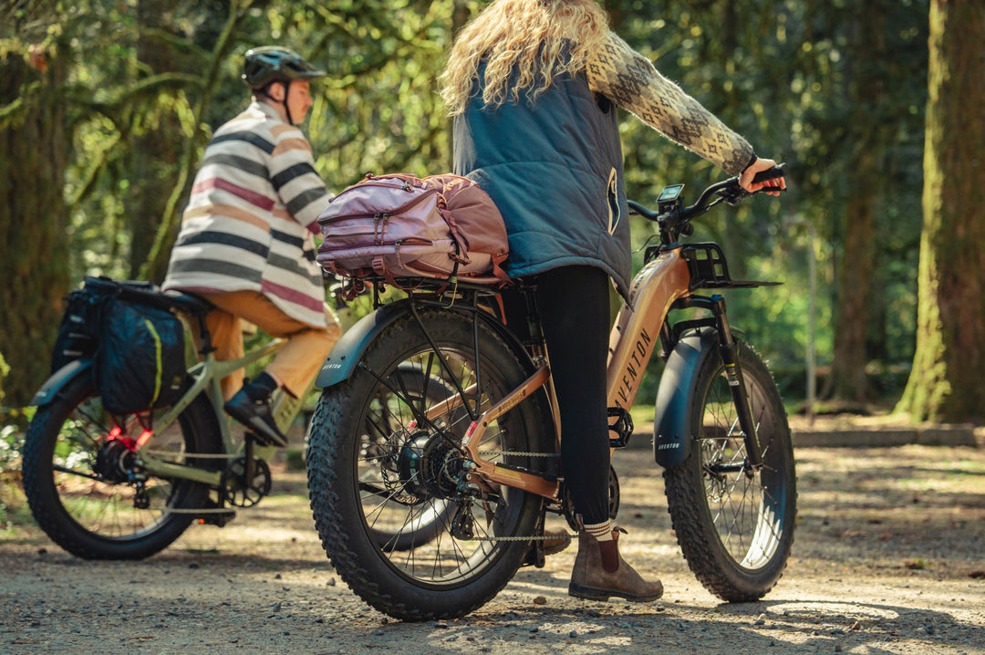 Step-Through Fat Tire Electric Bike – Series 053