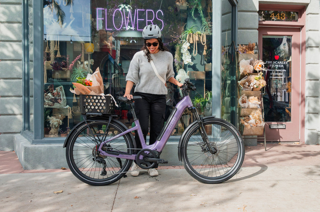 Step-Through City Commuter Electric Bike – Series 022