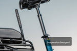 Load image into Gallery viewer, Cargo Electric Bike – Series 123