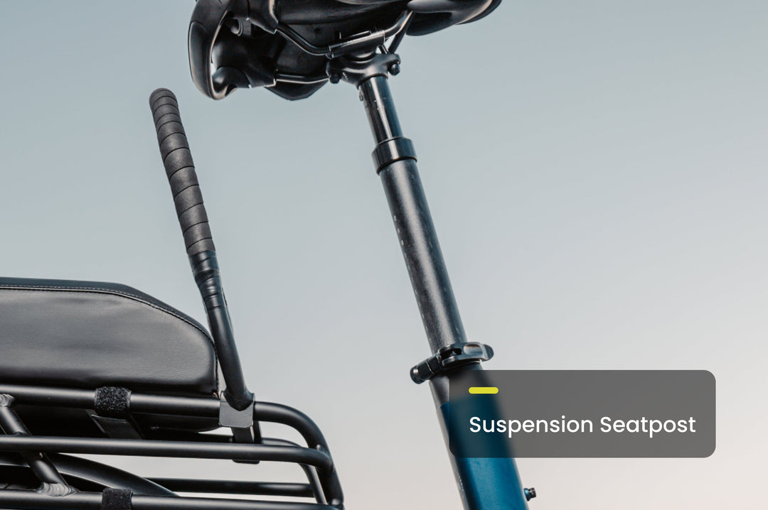 Cargo Electric Bike – Series 123