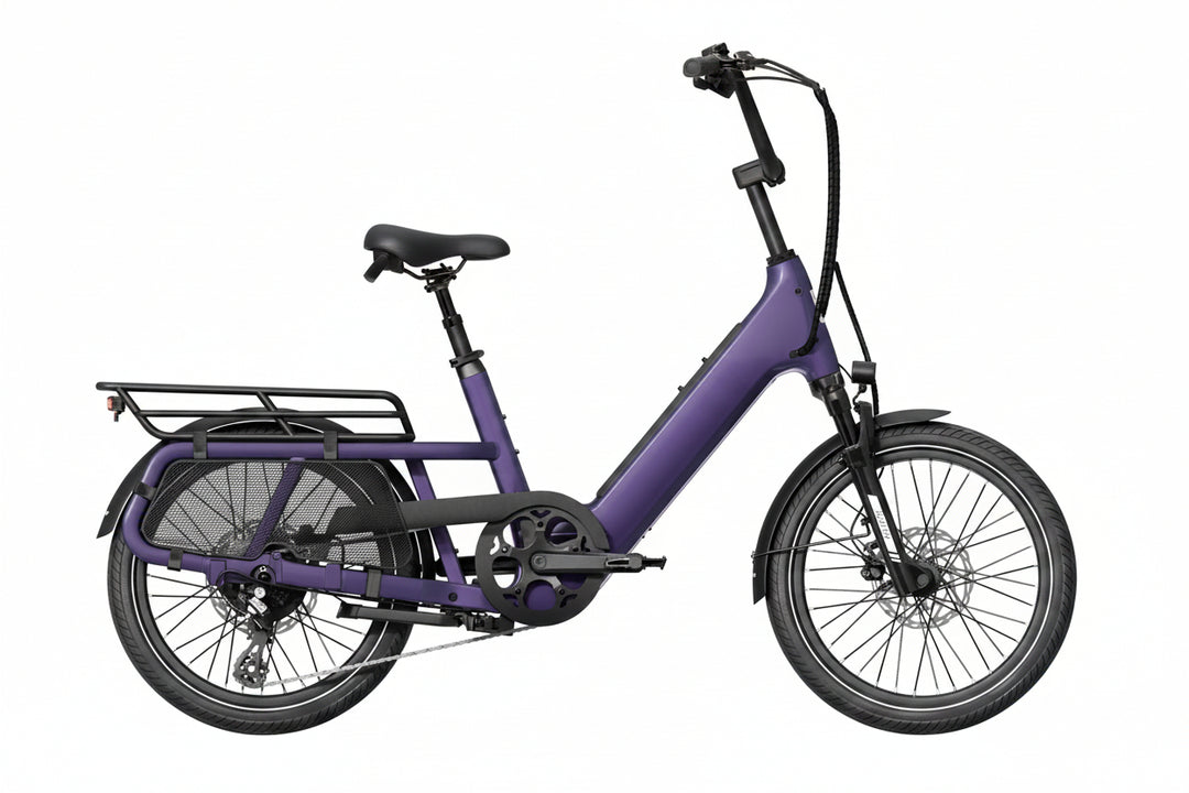 Cargo Electric Bike – Series 123