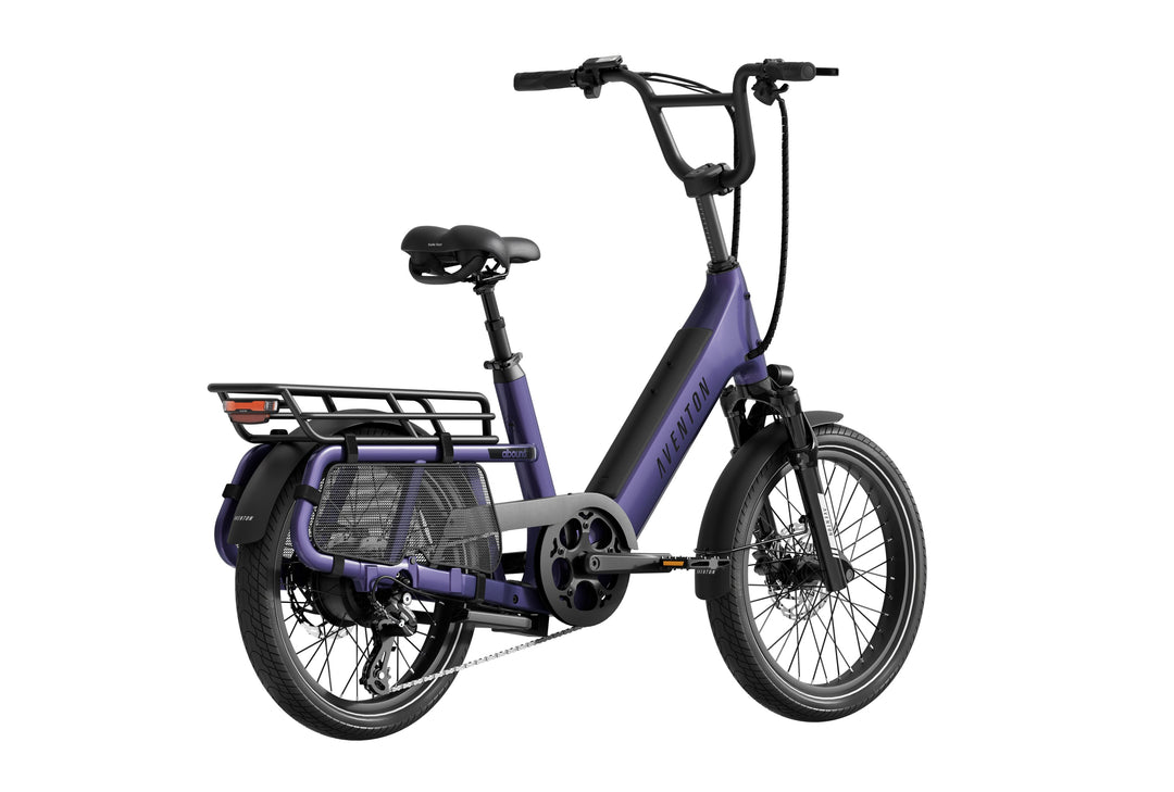 Cargo Electric Bike – Series 123