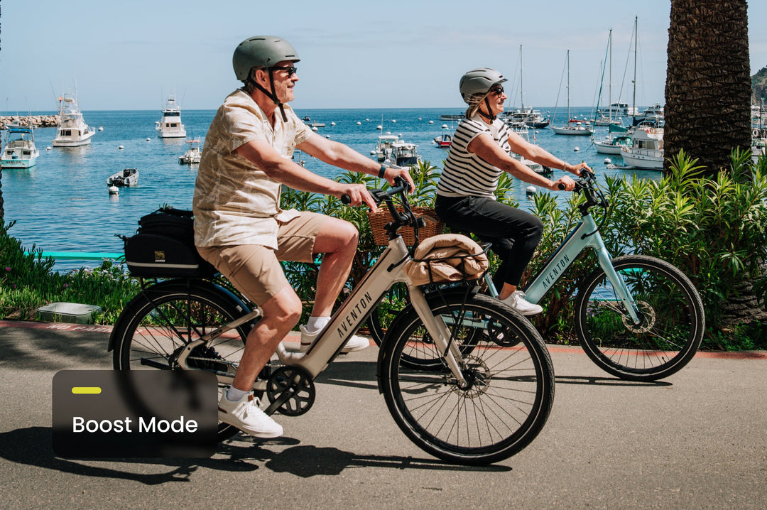 Step-Through City Commuter Electric Bike – Series 066