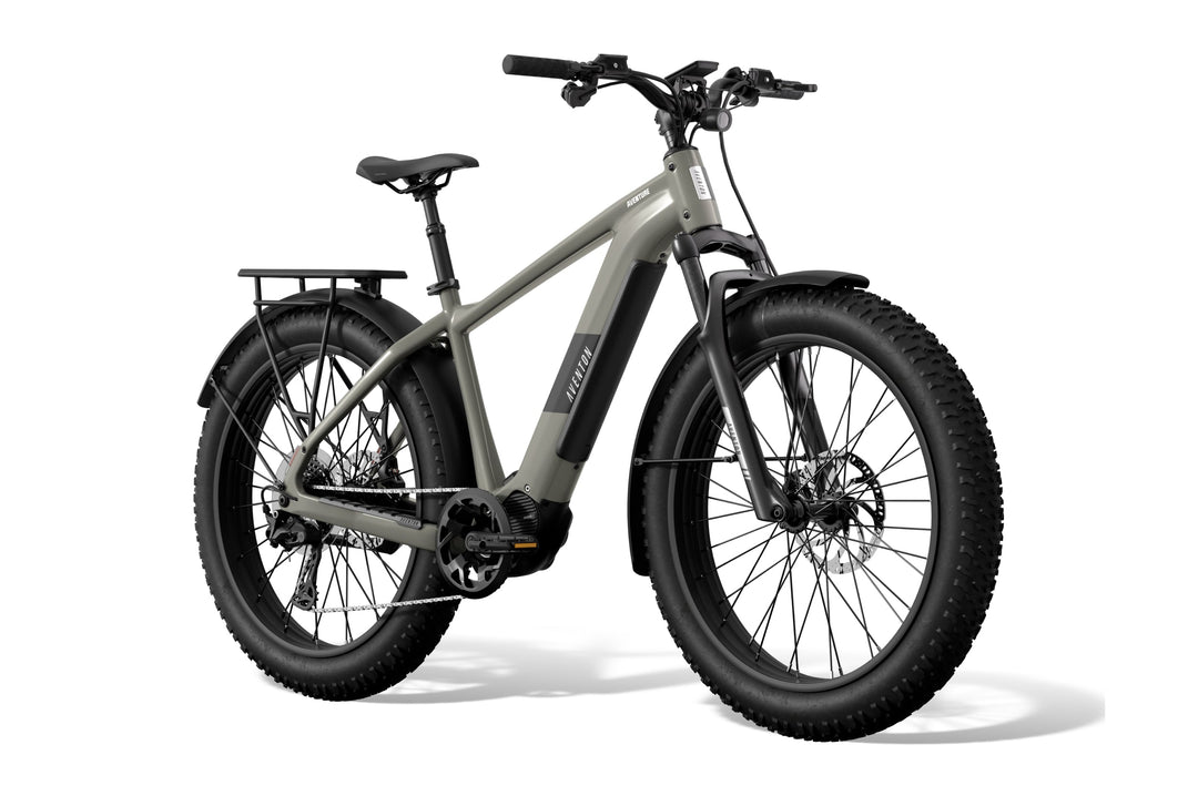 Fat Tire Electric Bike – Series 048