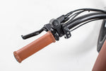 Load image into Gallery viewer, Cheetah - 750w Café Racer