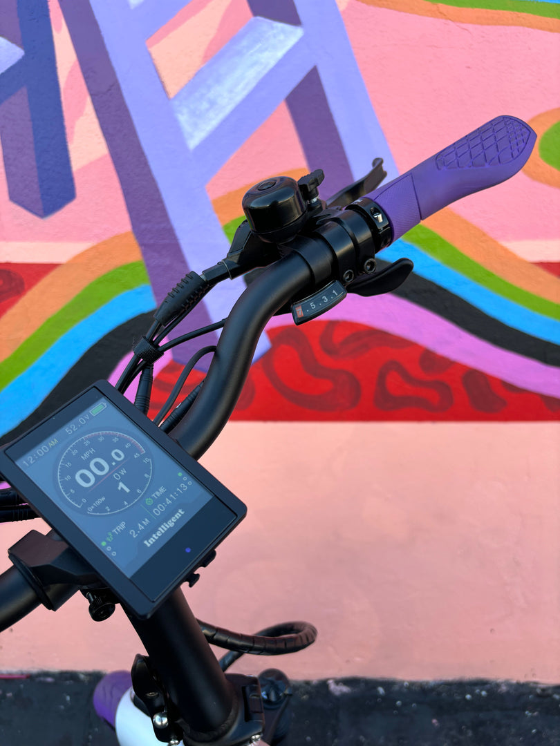 Custom Purple Rain 750 w Electric Folding eBike 20x3 Fat tire electric bike