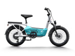 Load image into Gallery viewer, Himiway Cargo Ebike C3
