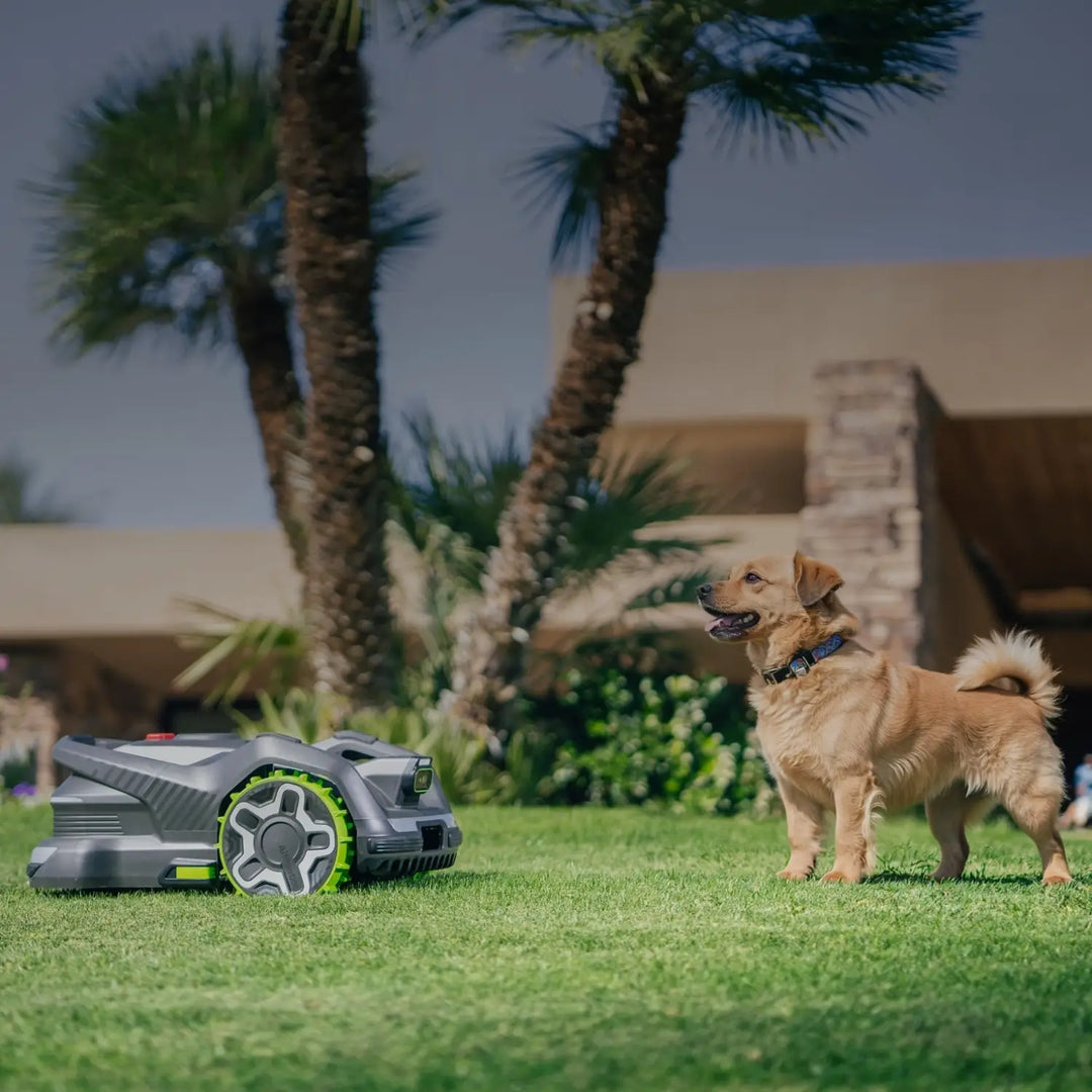 AiMowbot Wire-Free RTKVision Robotic Mower C40 | 1 Acre