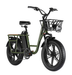 Load image into Gallery viewer, FIIDO T1 Pro - Electric Cargo Bike